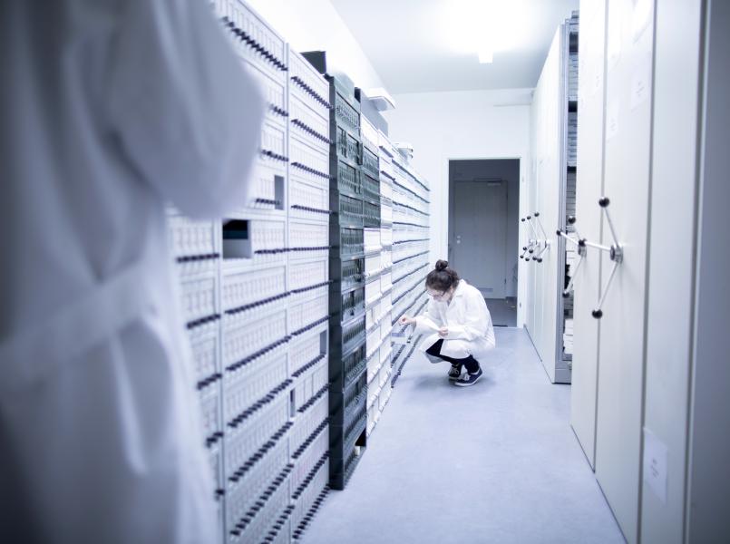 gerflor-photo-industrie-dossiers