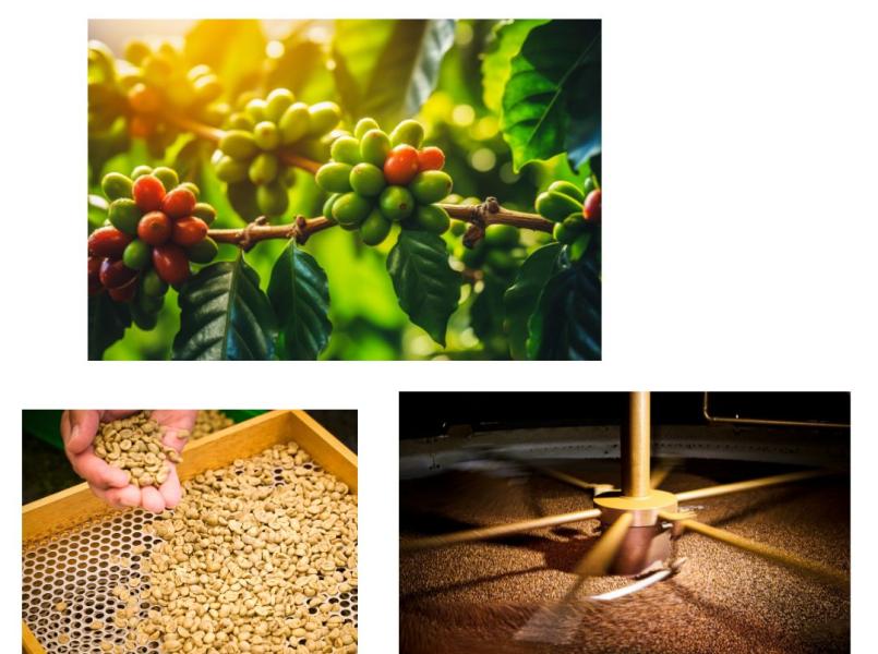 gerflor_dlw_lino_art_nachwachsende_rohstoffe