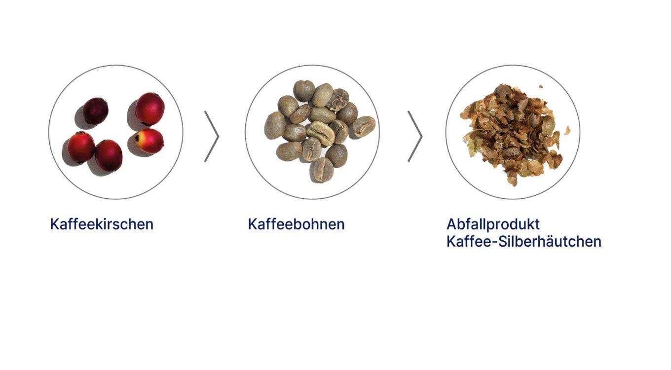 gerflor_lino_art_kollektion_rohstoffe_kaffee