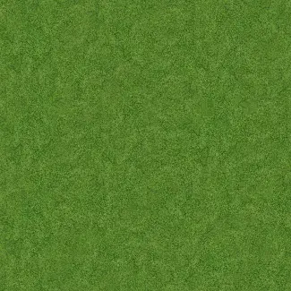 My Saga² Spring grass