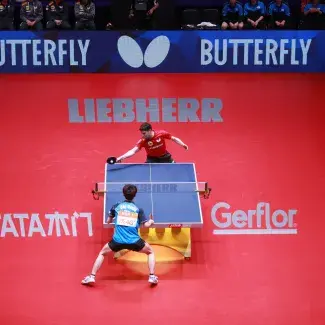 Taraflex Table Tennis 4.5 - Room scene