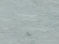 gerflor-mipolam-classic-0303-grey