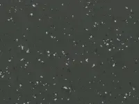 Taralay Premium - Indiana-Pemba 4469