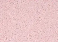 gerflor-mipolam-affinity-4481-rosaspina