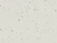 PREMIUM - 0028 COCOON Organza