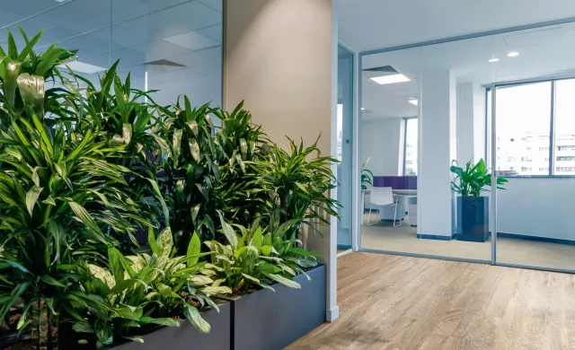 Gerflor Büro_Empfang