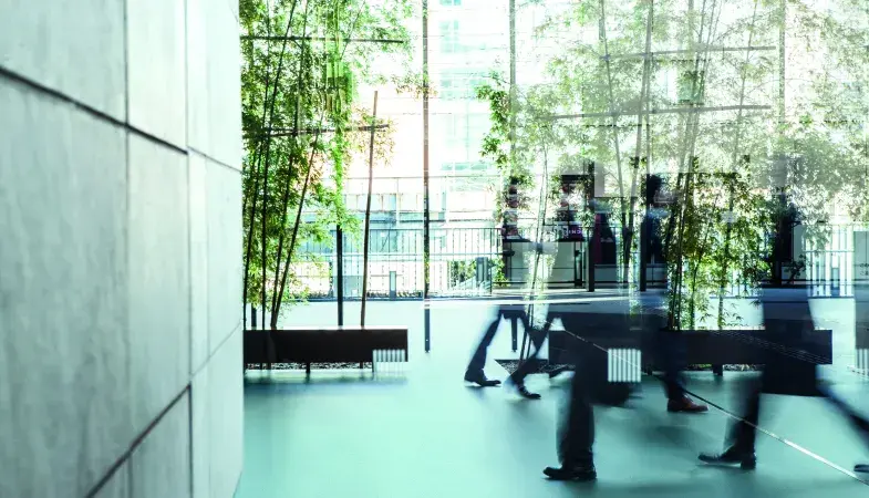 Mipolam Planet Traffic